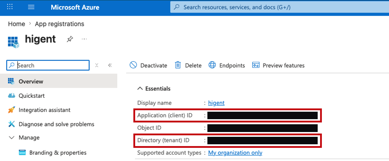 App overview showing Application (client) ID and Directory (tenant) ID